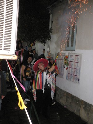 ΑΠΟΚΡΙΕΣ 2013